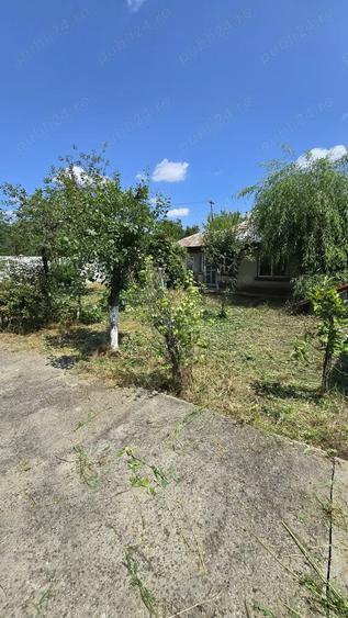 Teren si casa batraneasca - 5