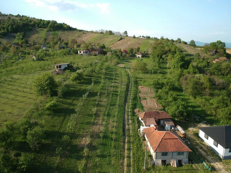Teren Orasu Nou Vii ,Intravilan 38 Ari , Casa + Livada pomi fructiferi - 4