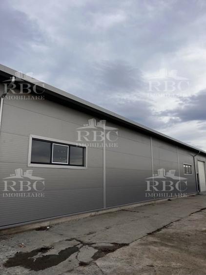 Hala din panouri 864 mp cu platforma betonata B-dul Muncii - 6