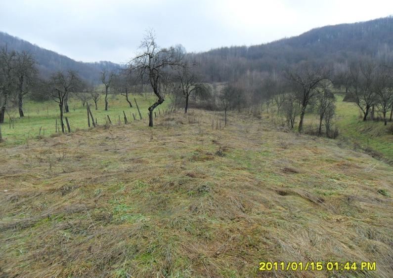 Vand teren in Ranusa - 10