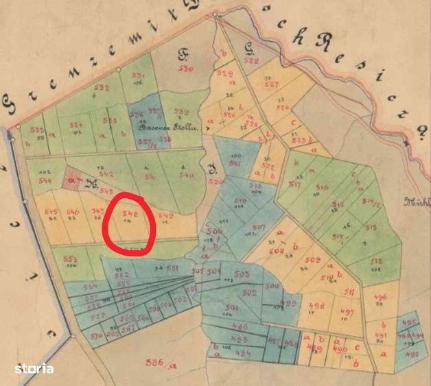 INVESTITIE RESITA: 1.15 Ha in Driglovat-Natura,Potential Forestier - 2