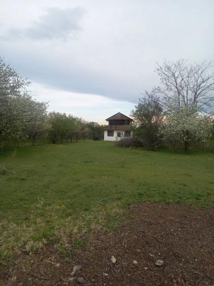 Teren si constructie - 6