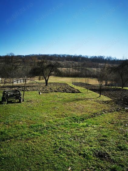 Casa zona de padure - 1