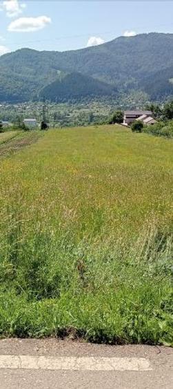 Pământ de vânzare: sat Viișoara, comuna Alexandru cel Bun (zona Gloduri drumul spre Bisericani) - 7