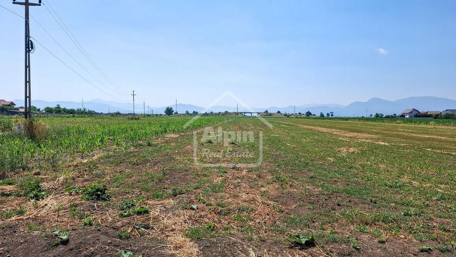 Terenuri Intravilane  Harman - 13