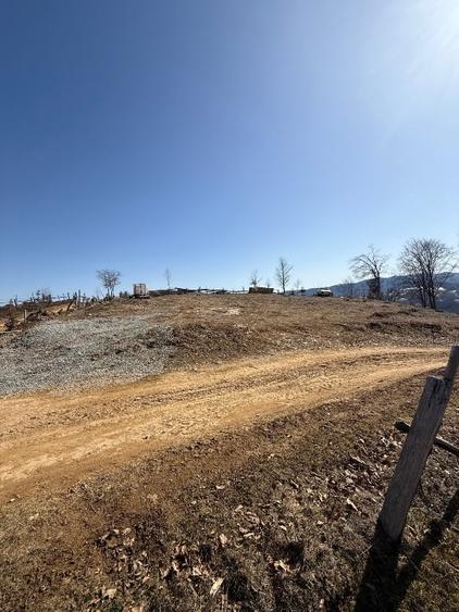 Teren de vânzare în zona de munte - 3