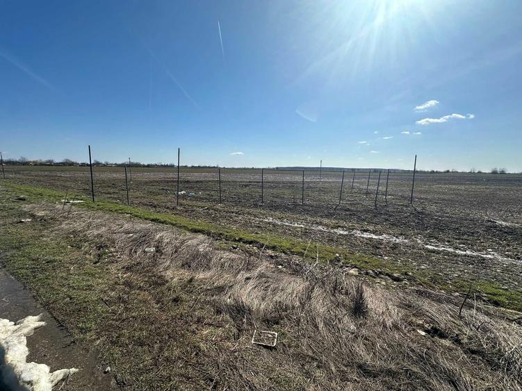 teren de vanzare - 5