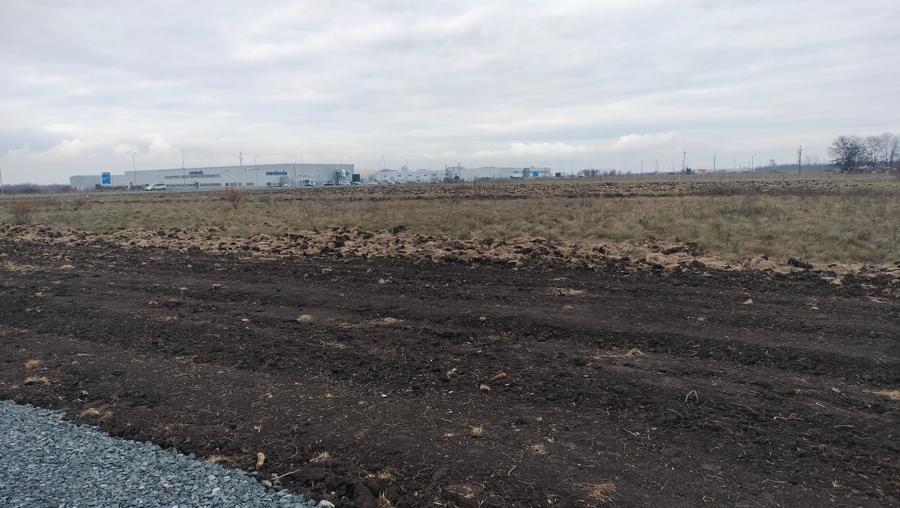 Inchiriez teren 4310 mp in Ghiroda - 5