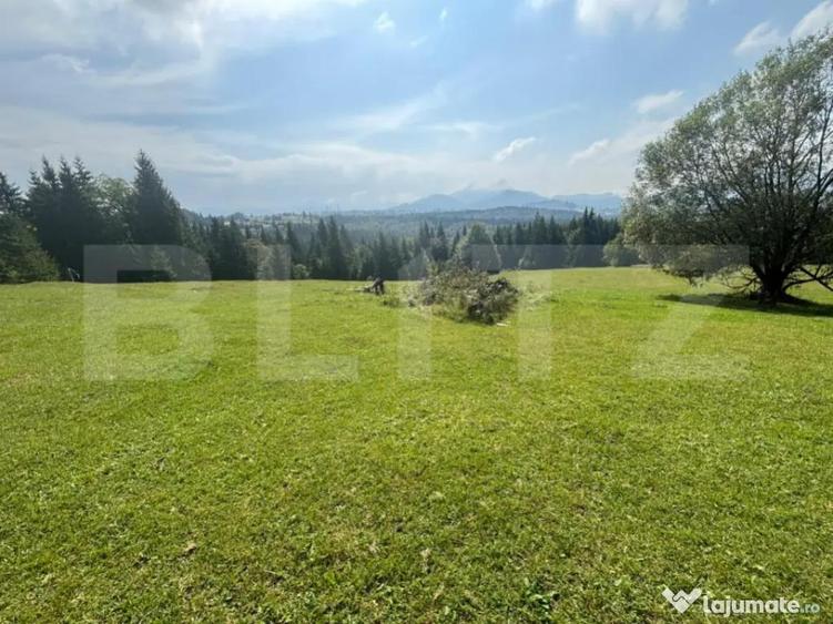 Vanzare teren intravilan de 2 hectare, in Pasul Tihu?a - 5