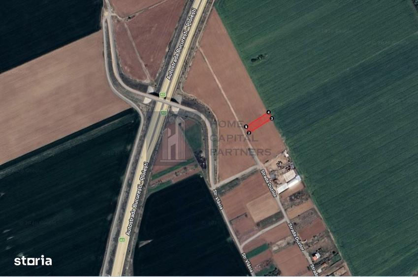 Teren de vanzare Moara Vlasiei - 2