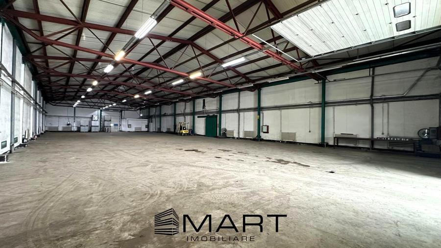 Hala 850mp zona industriala Vest - 2