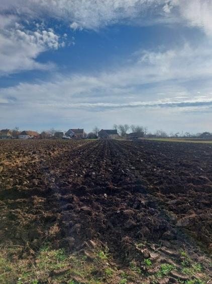 Gelu – Casa 4 Camere – Teren 6700 mp - 2