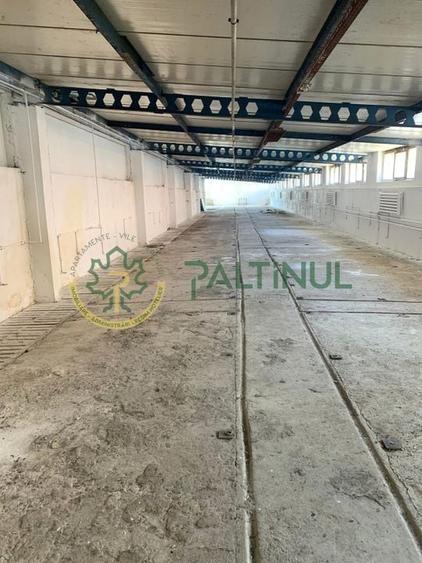 Spațiu depozitare 700 mp &icirc;n Cristian, Sibiu - 3 km de Aeroport - 4