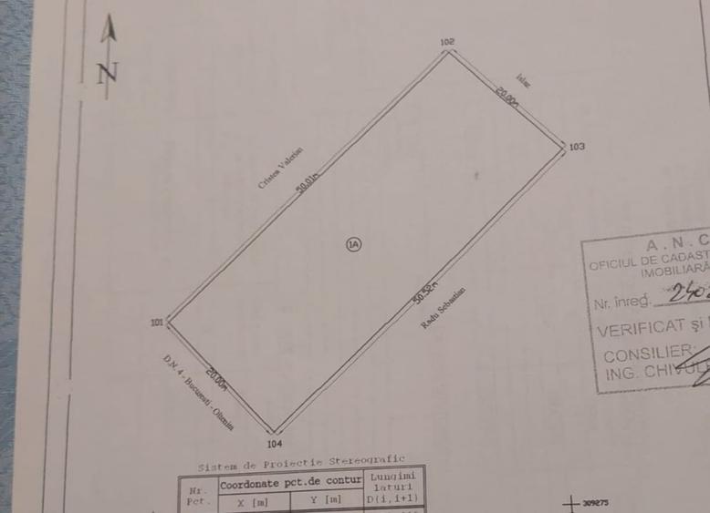 Frumusani Pasarea | Teren 1.000 Mp | Deschidere 20 M la DN4 | Toate Utilitatile - 5