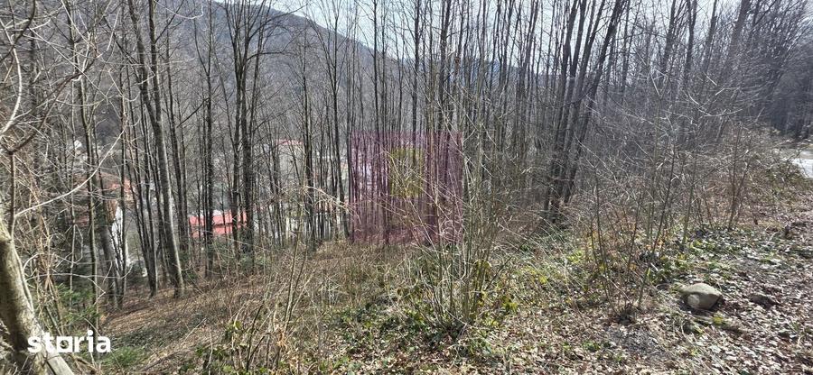 Teren de 338 mp, în Central