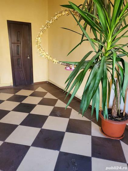 Inchiriere spatiu - 2