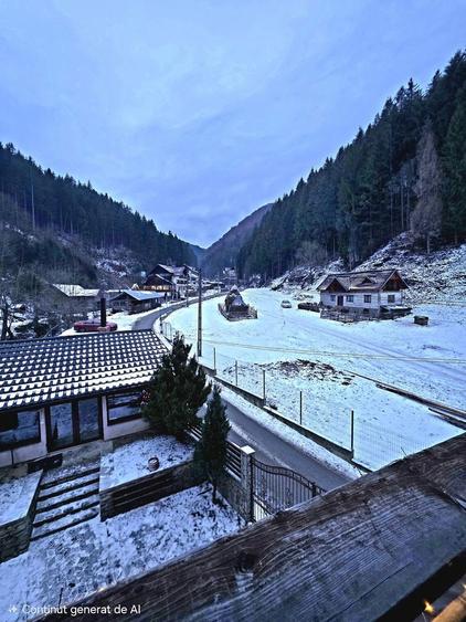 Casa MARYON - Rucar - 7