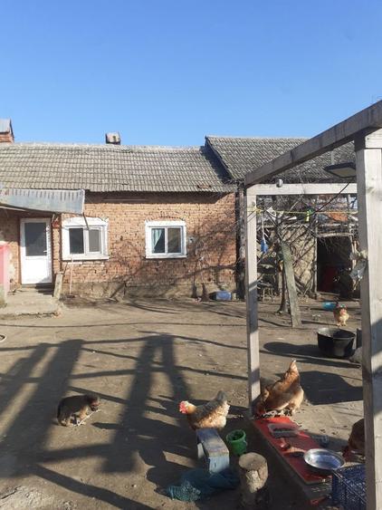 Casa de vanzare OSTROVENI URGENT - 3