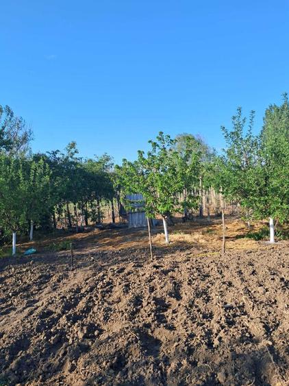 Casa vanzare Cocorasti, comuna Plesoiu, judetul Olt+ teren extraviln - 3