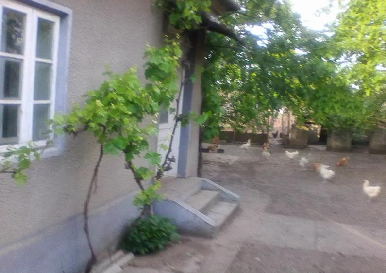 Vand casa 4 camere Macea - 2