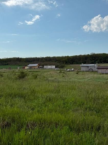 Teren intraan chisirid - 7