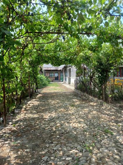 vand casa si teren,acte la zi,apa,lumina,gaze,put - 9