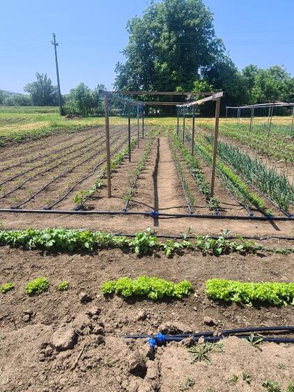 Apartament 3 cam 56mp+curte si gradina 503mp + parcare acoperita dubla - 9