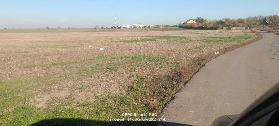 De vanzare loturi de teren intravilan in Singureni, Giurgiu - 4