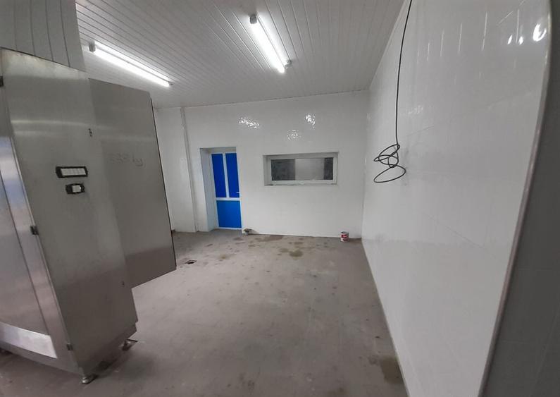 Hala - flux DSV - domeniu alimentar - productie sau catering - 3