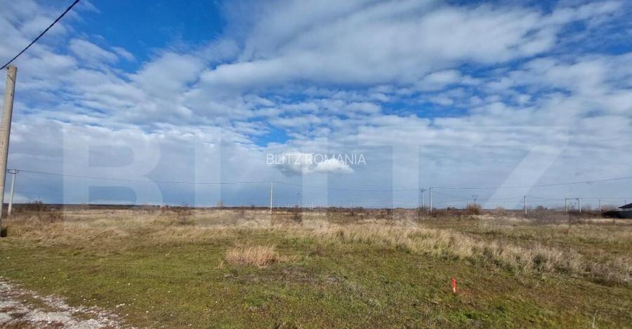 Teren arabil, 25 ha, Sinmihaiul Roman
