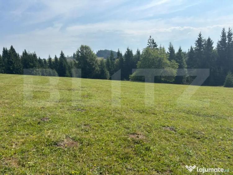 Vanzare teren intravilan de 2 hectare, in Pasul Tihu?a - 3