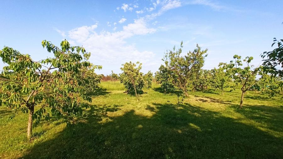 De vanzare 5 ha de teren - 1