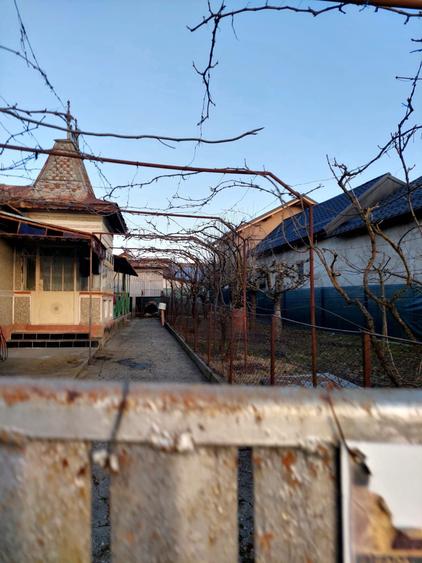 Vand casa si gradina - 4
