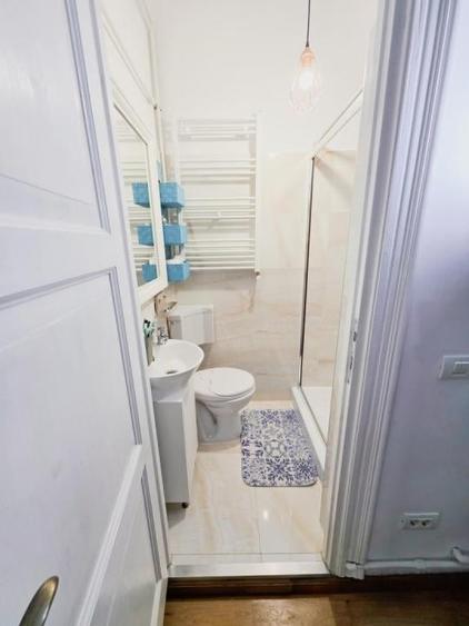5 min metrou Iancului Casa renovata 2020 D P Pod pe teren 295 mp - 10
