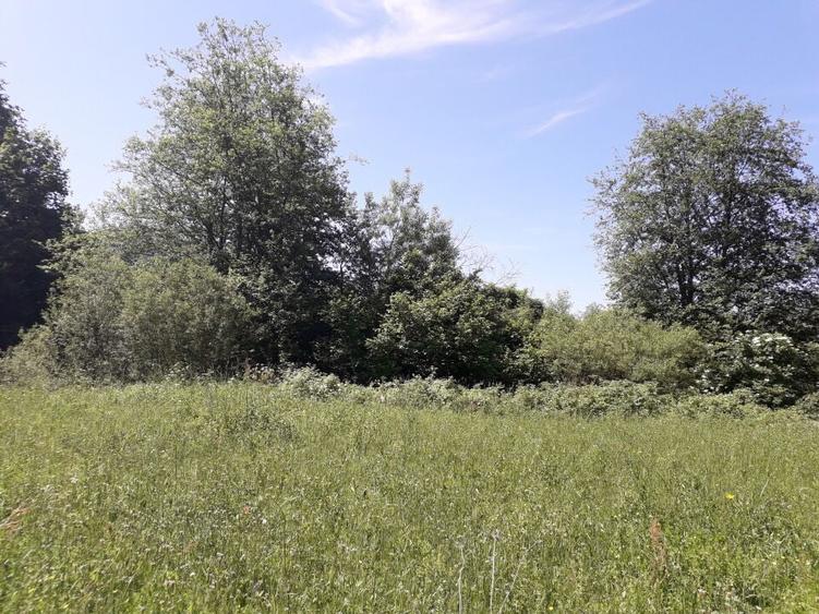 Teren Rusca  - Caras Severin - 1