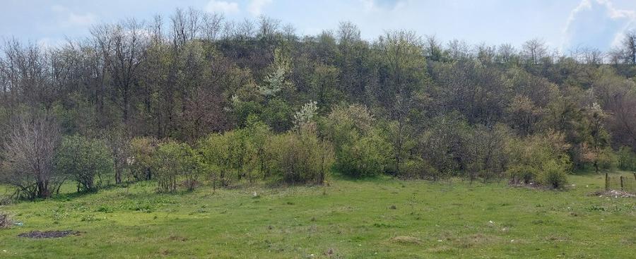 Teren intravilan 3109mp - 7