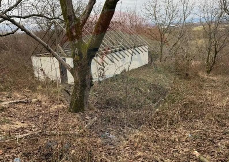 DE VANZARE Teren Strada Victoriei Baia Mare - 10