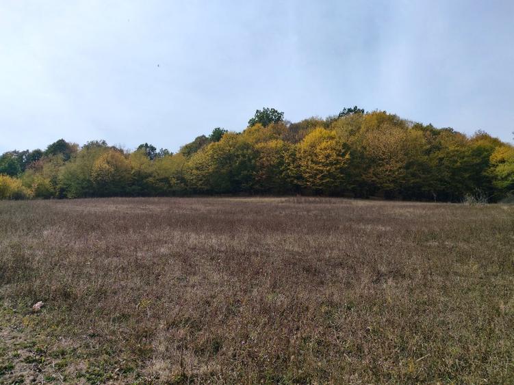 Teren agricol extravilan de 7043 mp, în Mihăești