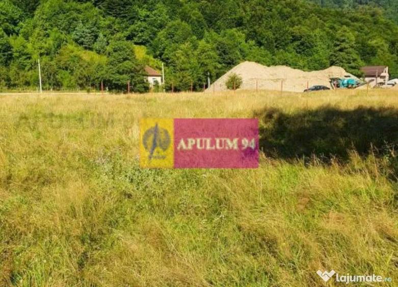 Teren Jude?ul Valcea - Brezoi, Valea lui Stan - 7