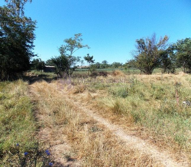 TUZLA - Teren intravilan 1000 mp, langa lacul Techirghiol! - 6