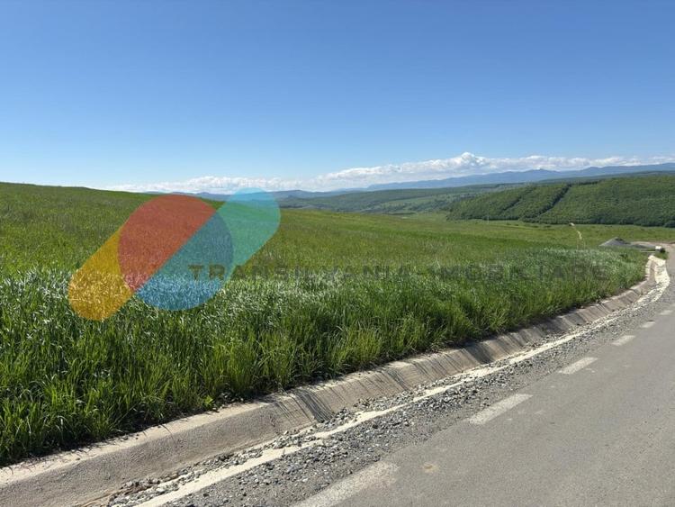 Teren Intravilan de 4.300 mp cu Acces Asfaltat – Popești, Cluj-Napoca - 6