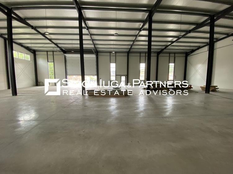 Hala nou construita 2025 de inchiriat - 12