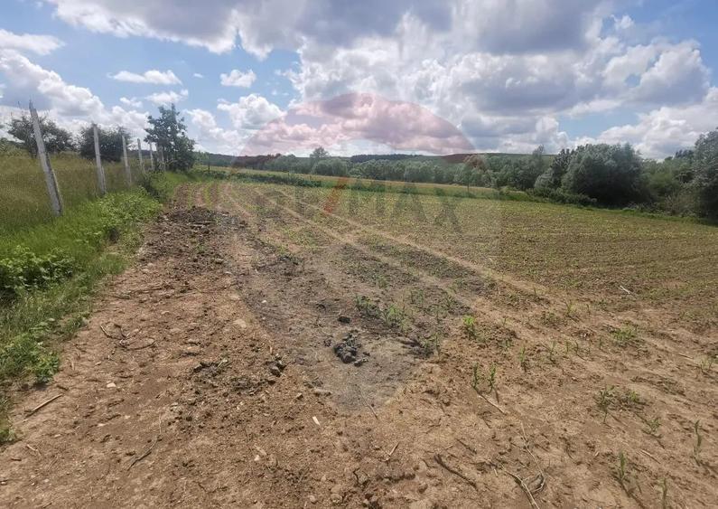 DE VANZARE TEREN INTRAVILAN SAU PARCELA ?omcuta Mar... - 1