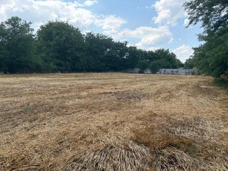 Teren intravilan 2580 mp - Hagiesti - 4