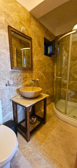 Domenii,  mobilat si utilat complet, imobil 2009, lift - 19