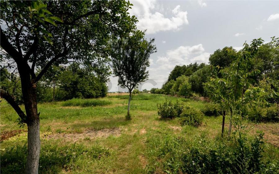 RECO Casa de Ineu - 10