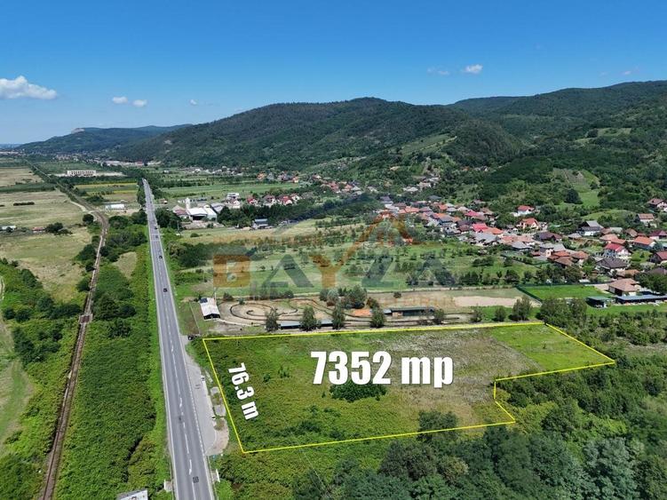 Teren intravilan 7352 mp, cu Deschidere 76.3 m la Șoseaua Națională - Cicârlău - 2