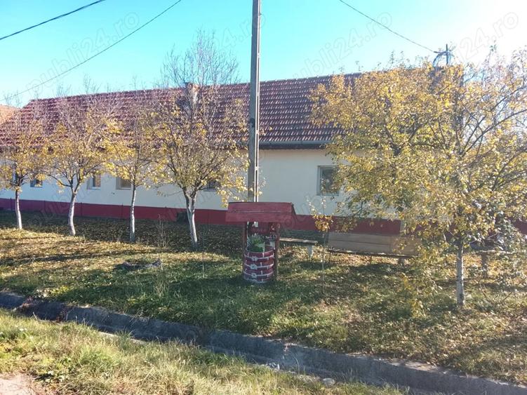 Casa de vanzare la 50km de Timisoara - 8
