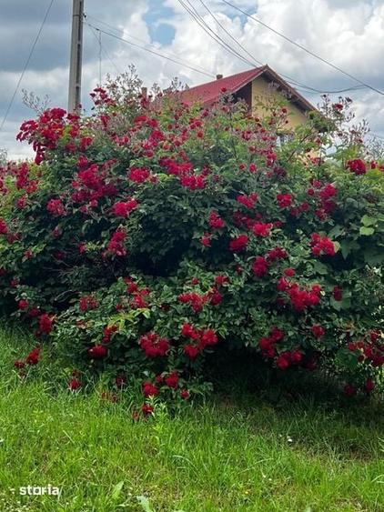Casă cu 3 camere cu Teren 100 Mp în Girov