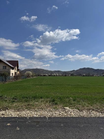 Teren de vanzare - 5